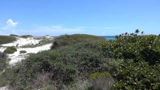 Dunes east of Kiosk S